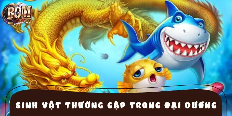 Hệ thống sinh vật trong lòng đại dương cực phong phú